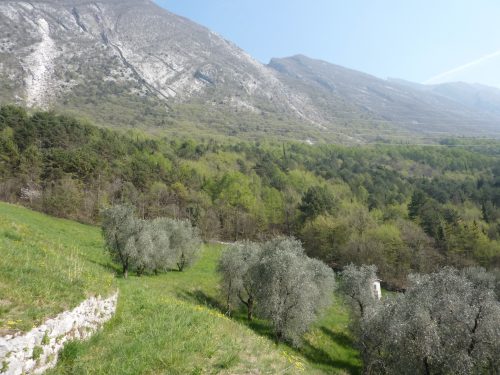 Garda e Baldo